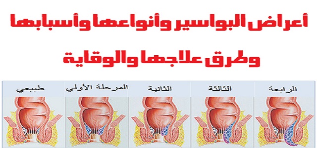 My Wordpress Website